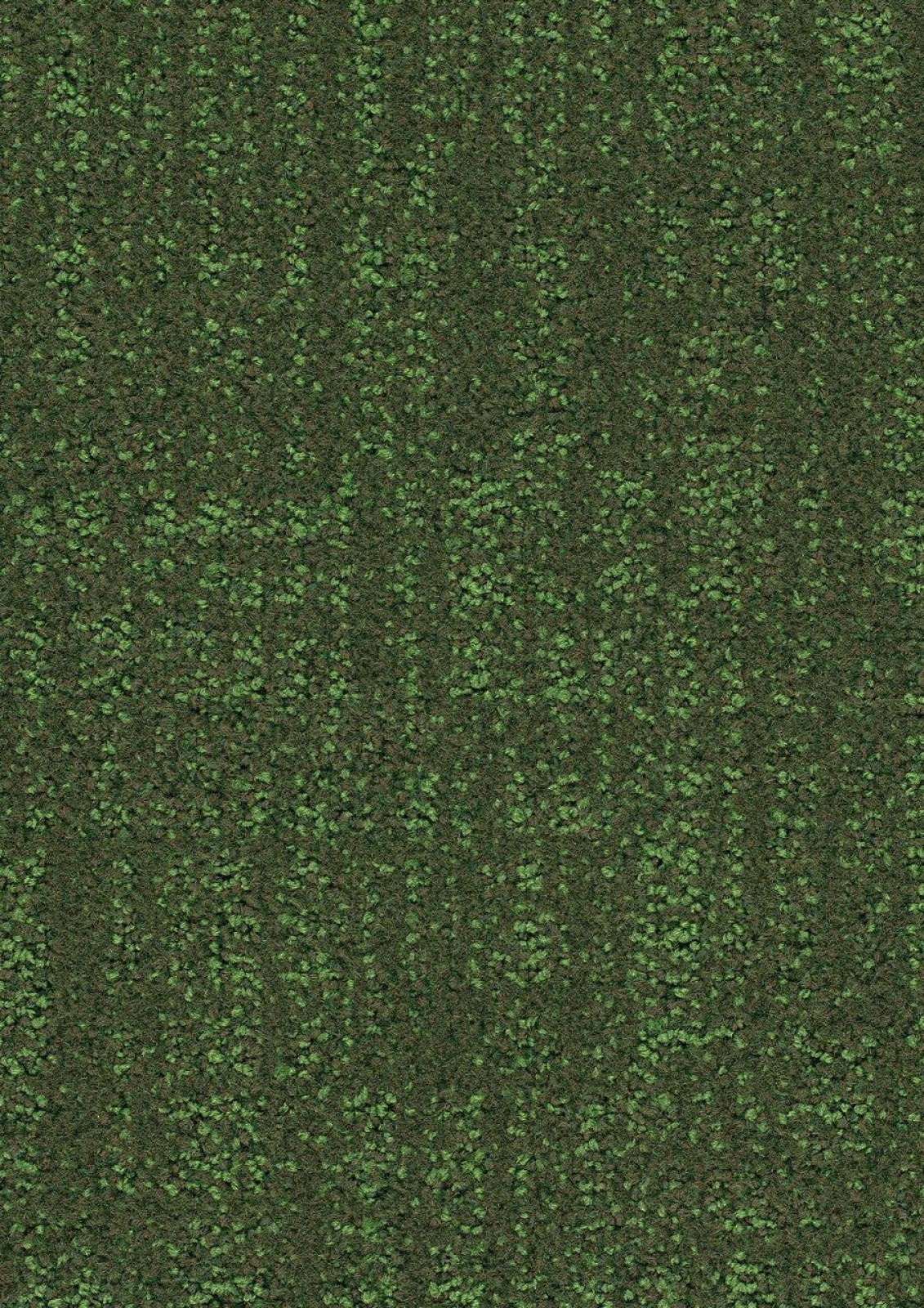 Vzor - 3911 zestful