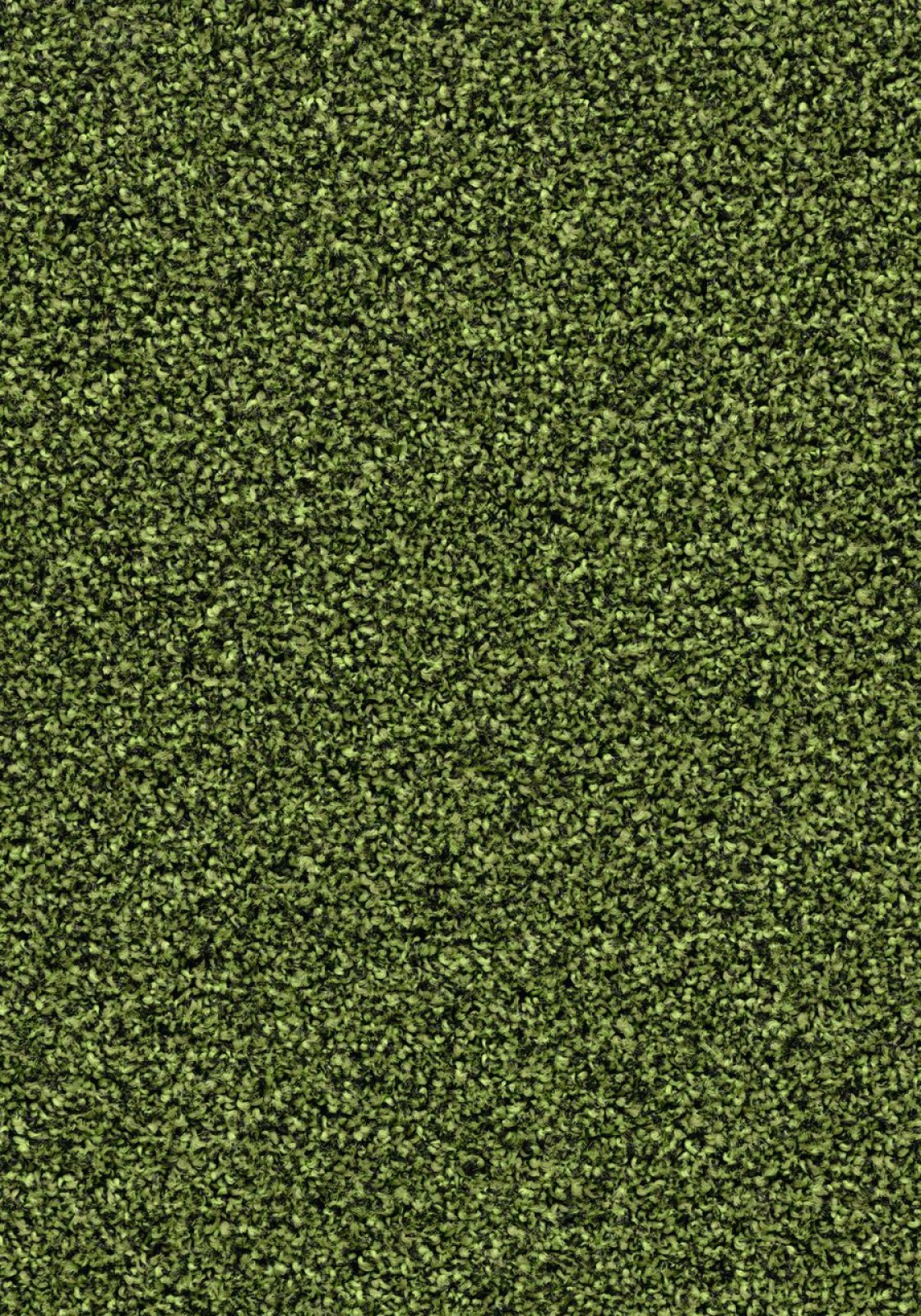 Vzor - 2608 fresh grass
