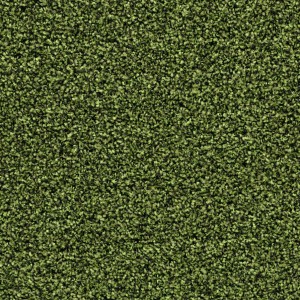 Vzor - 2608 fresh grass, kolekce Coral Bright