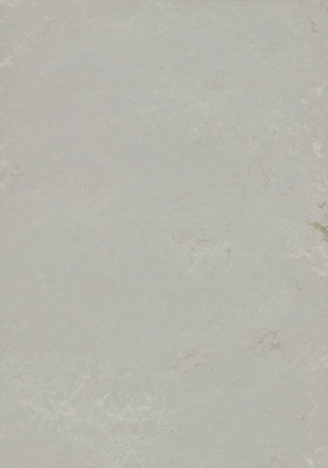 Vzor - t3717 Neptune