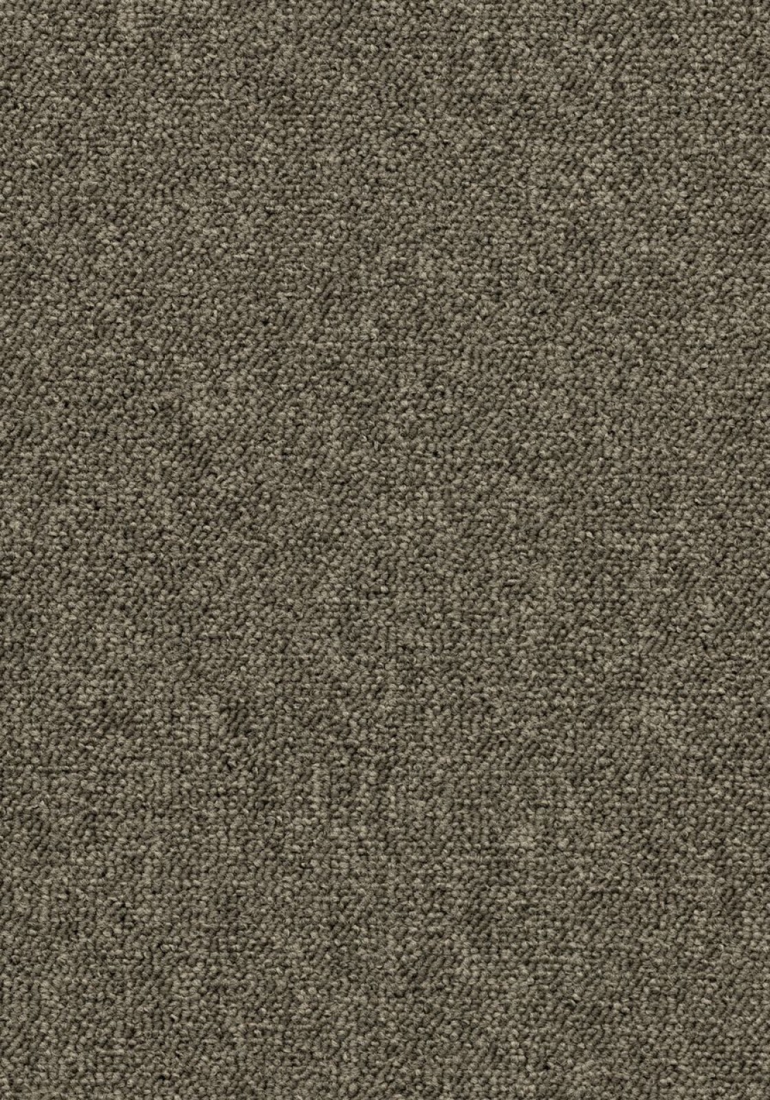 Vzor - 1807 tawny
