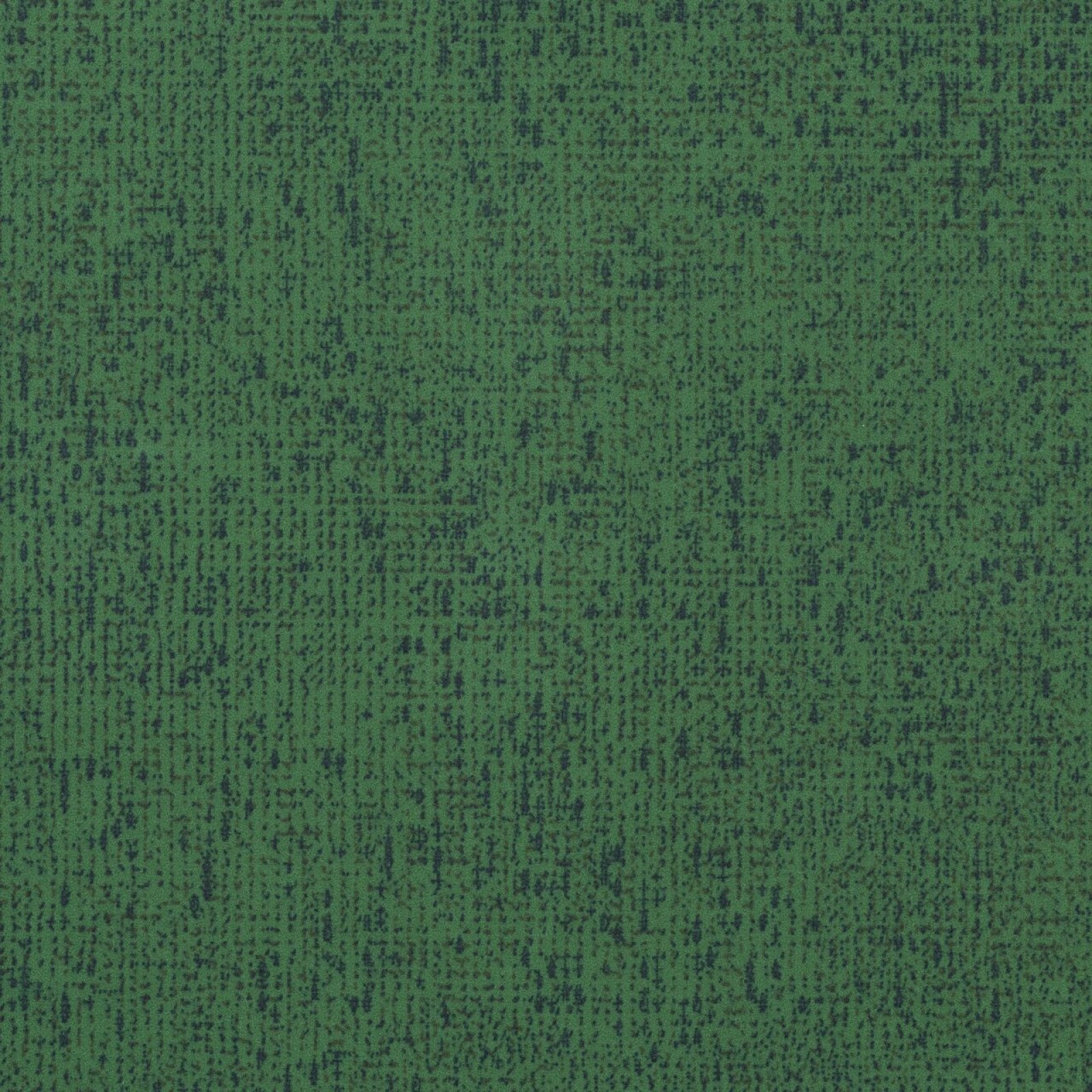 Vzor - t303088 evergreen