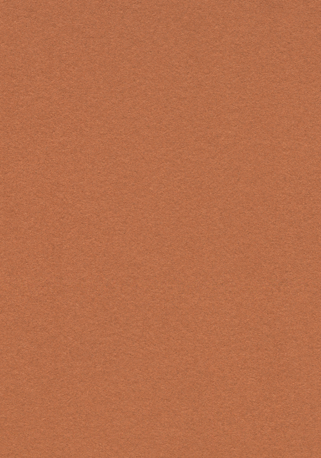 Vzor - 2207 cinnamon bark