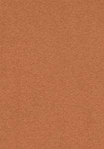 Vzor - 2207 cinnamon bark, kolekce Bulletin Board