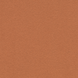 Vzor - 2207 cinnamon bark, kolekce Bulletin Board