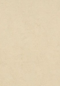 Vzor - 3858 Barbados (H36), kolekce Marmoleum Fresco
