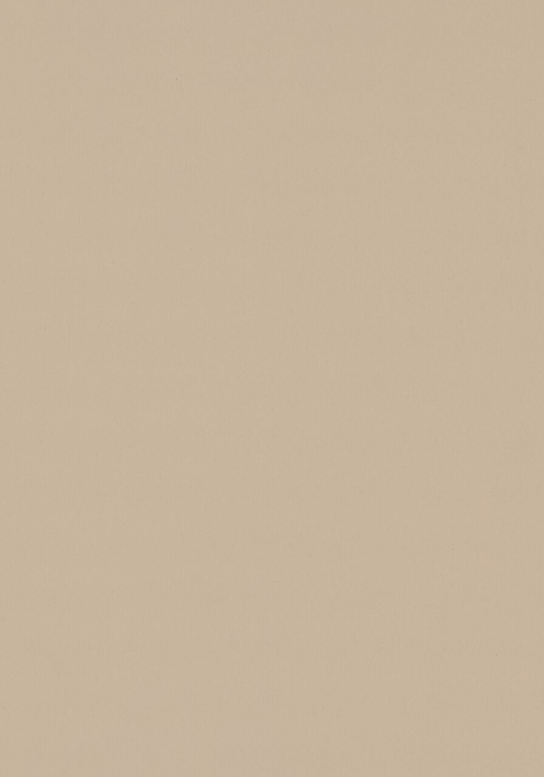 Vzor - 4007 macadamia