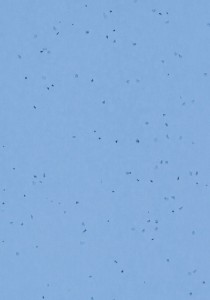 Vzor - 50268 blue sky, kolekce Sphera Energetic