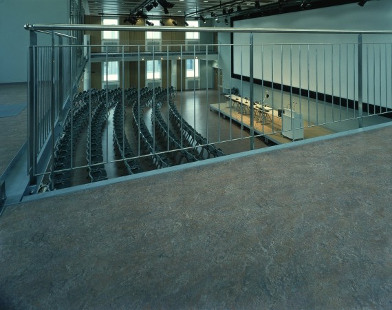 Dekor Akustické linoleum