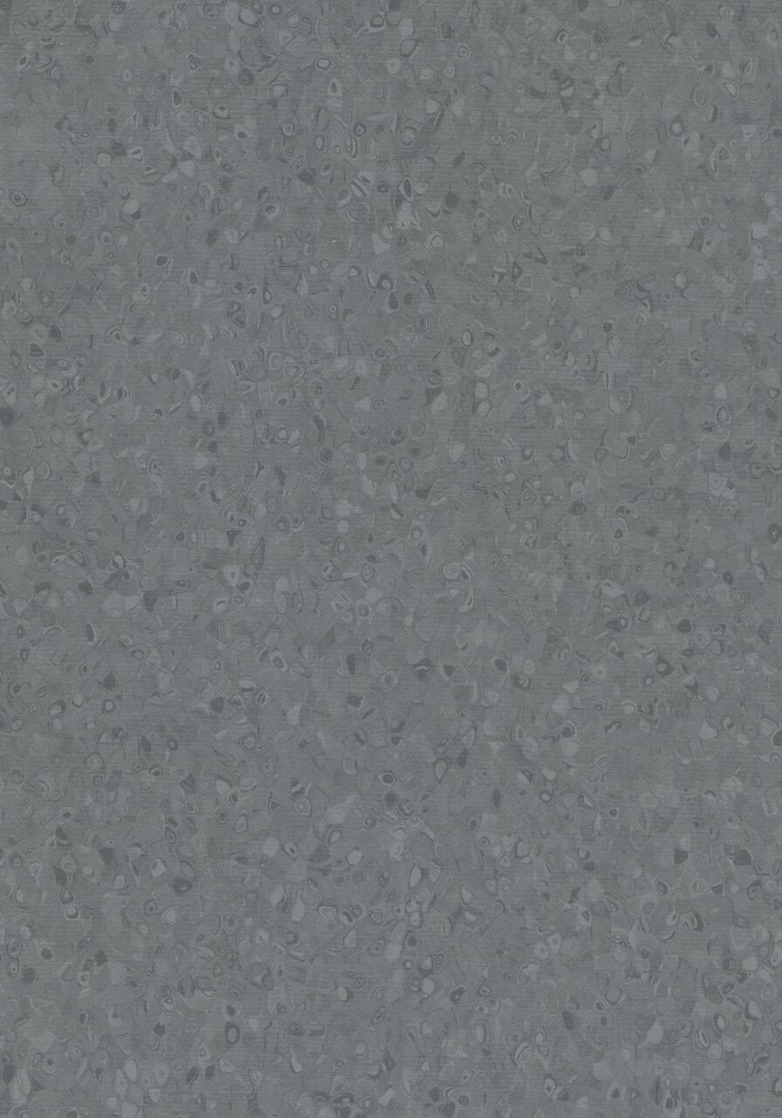 Vzor - 50010 iron