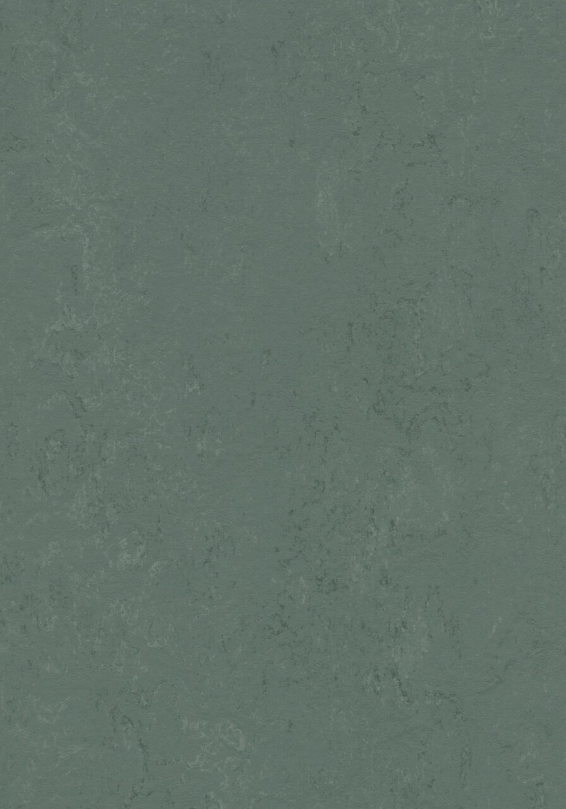 Vzor - 3752 taiga