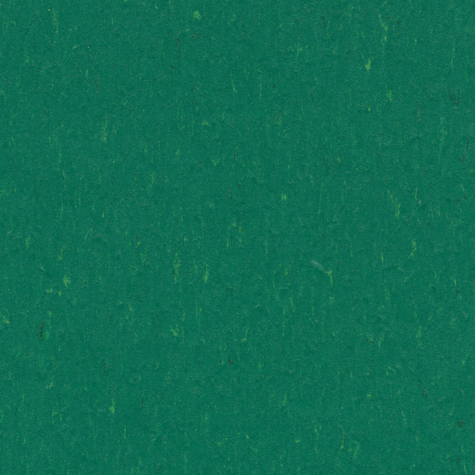 Vzor - 3649 greenwood