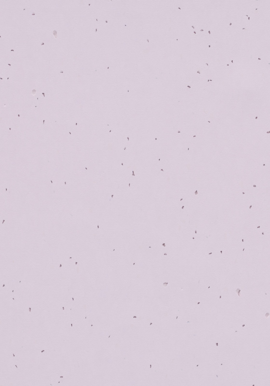 Vzor - 50234 lilac