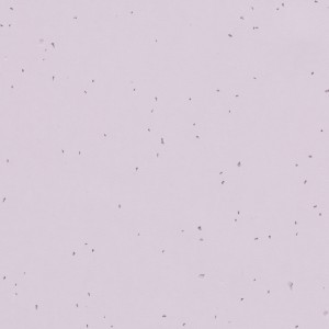 Vzor - 50234 lilac, kolekce Sphera Energetic