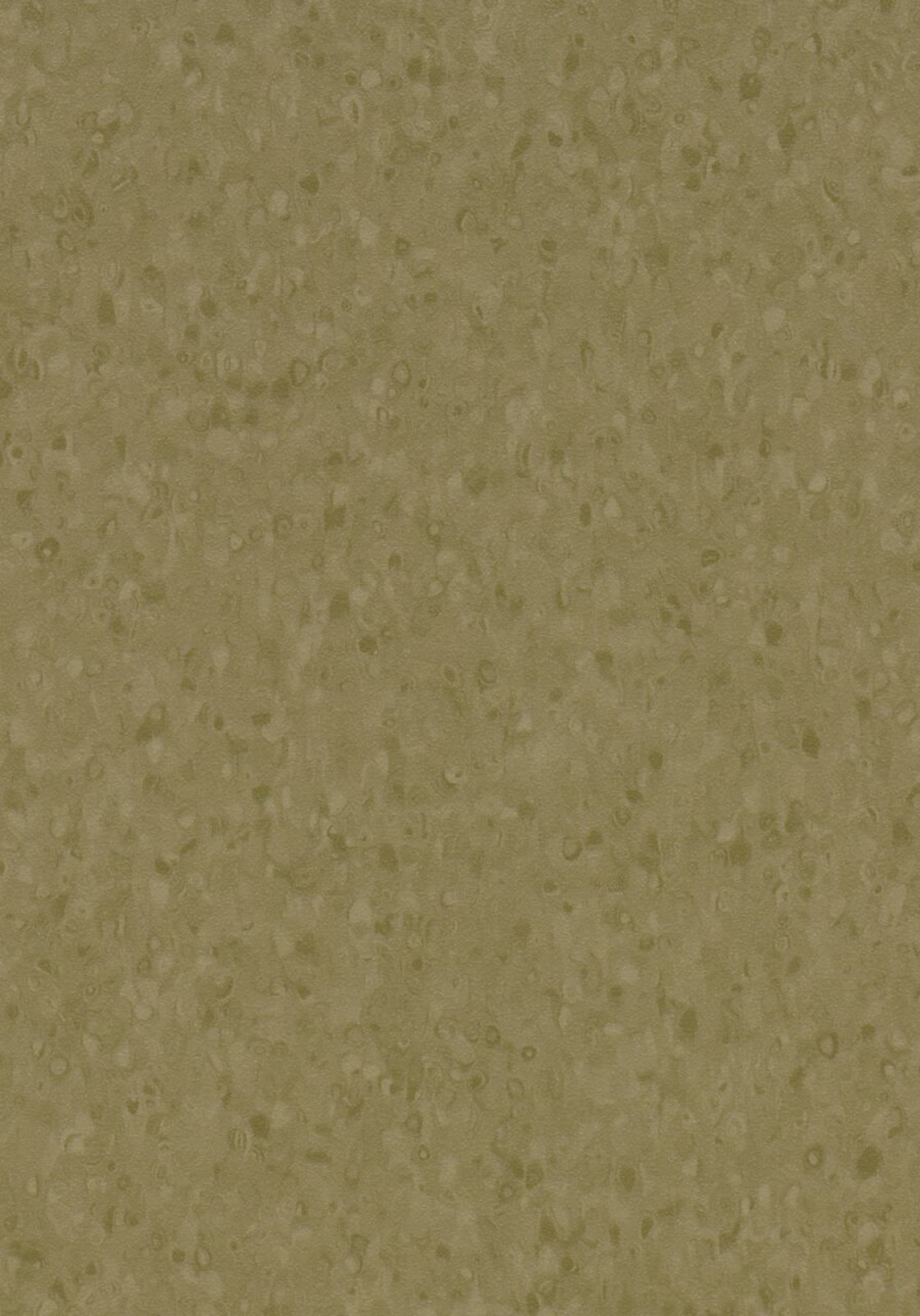 Vzor - 50069 dark moss