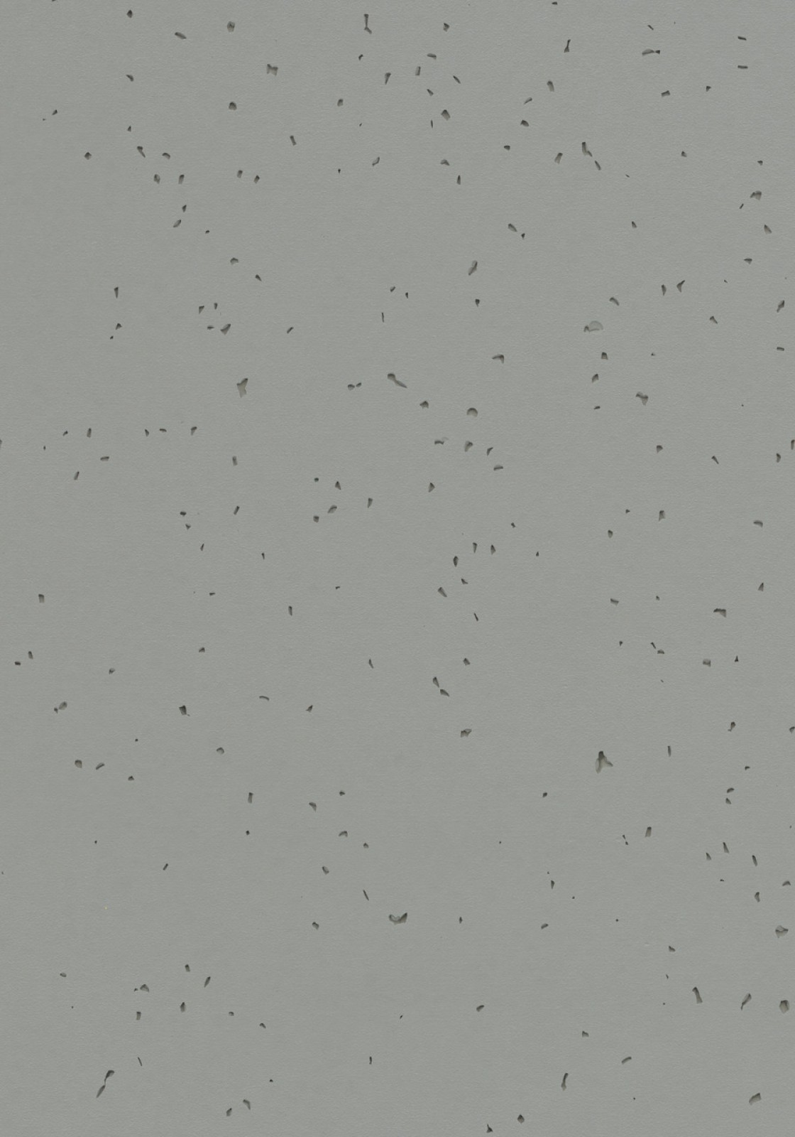 Vzor - 50216 pigeon