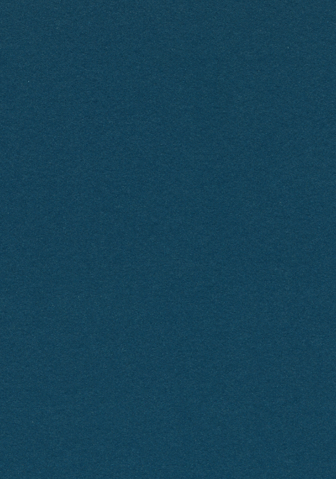 Vzor - 2214 blue berry