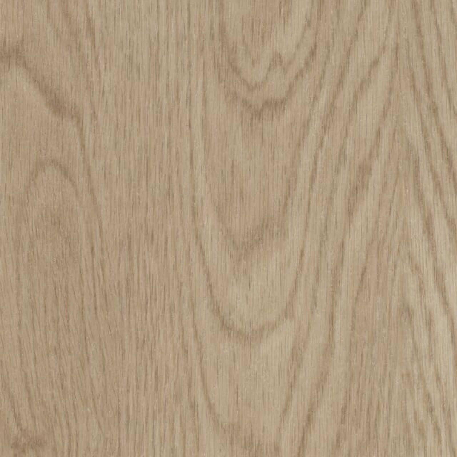 Vzor - 60064DR whitewash elegant oak