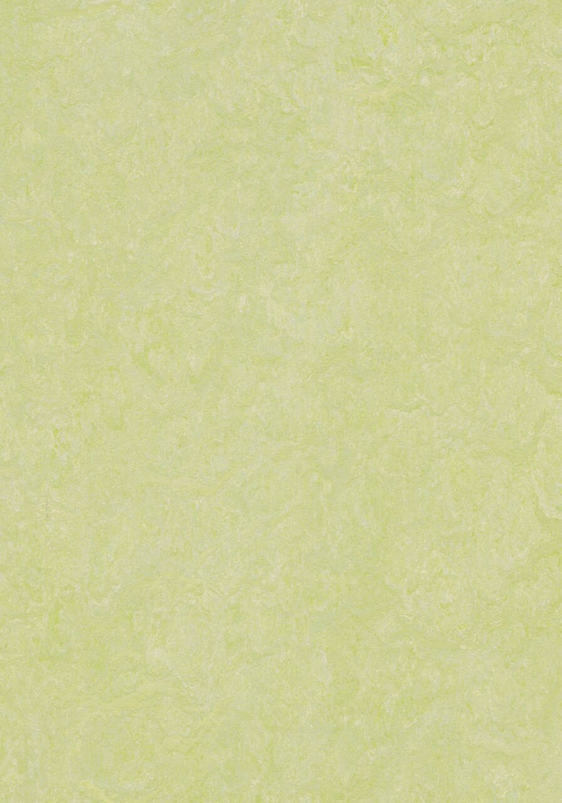 Vzor - 3881 green wellness