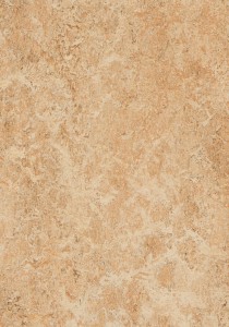 Vzor - 3075 shell (H46), kolekce Marmoleum Real