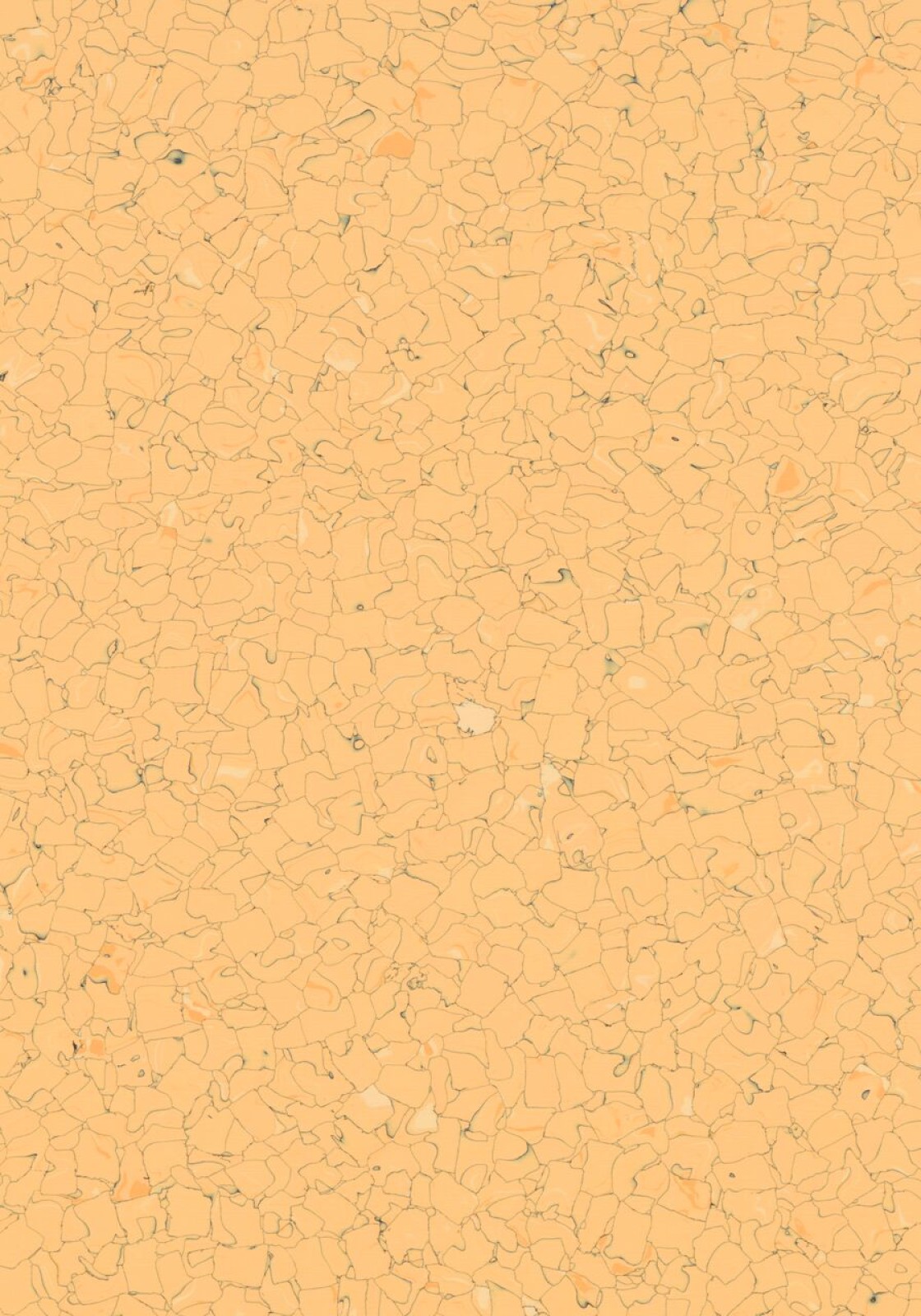Vzor - 250219 assuan