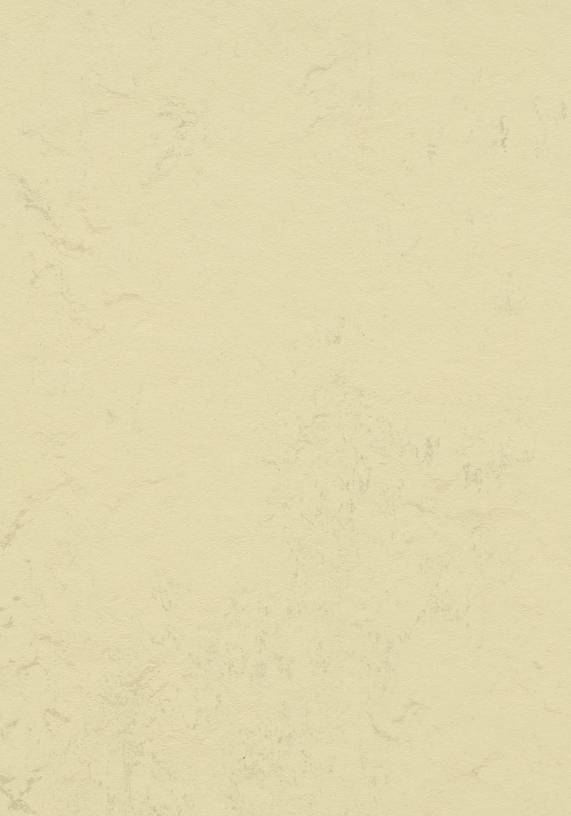 Vzor - t3722 stardust