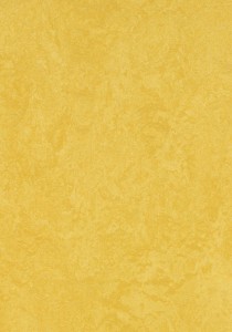 Vzor - 83284 yellow, kolekce Marmoleum Sport
