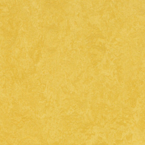 Vzor - 83284 yellow, kolekce Marmoleum Sport