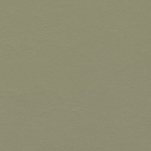 Vzor - 335535 rosemary green, kolekce Marmoleum Decibel