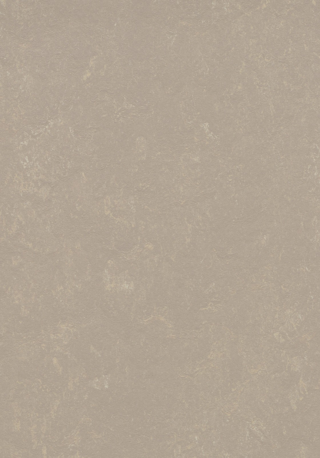 Vzor - 370835 fossil
