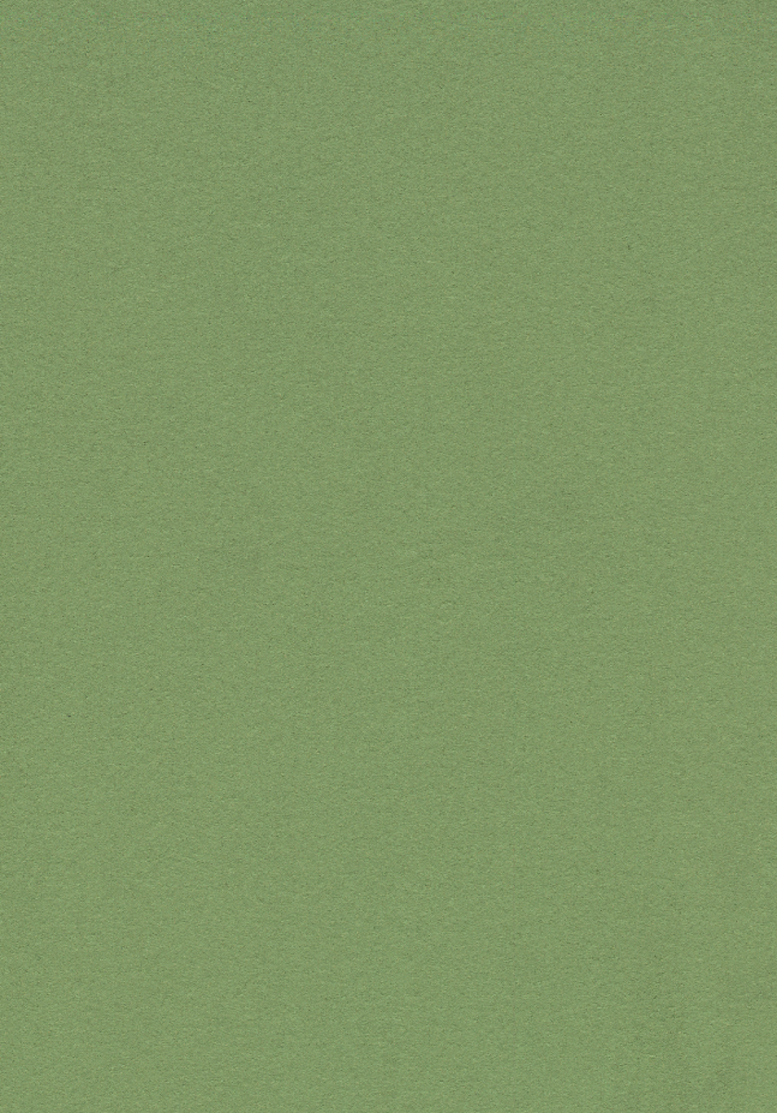 Vzor - 2213 baby lettuce