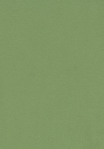Vzor - 2213 baby lettuce, kolekce Bulletin Board