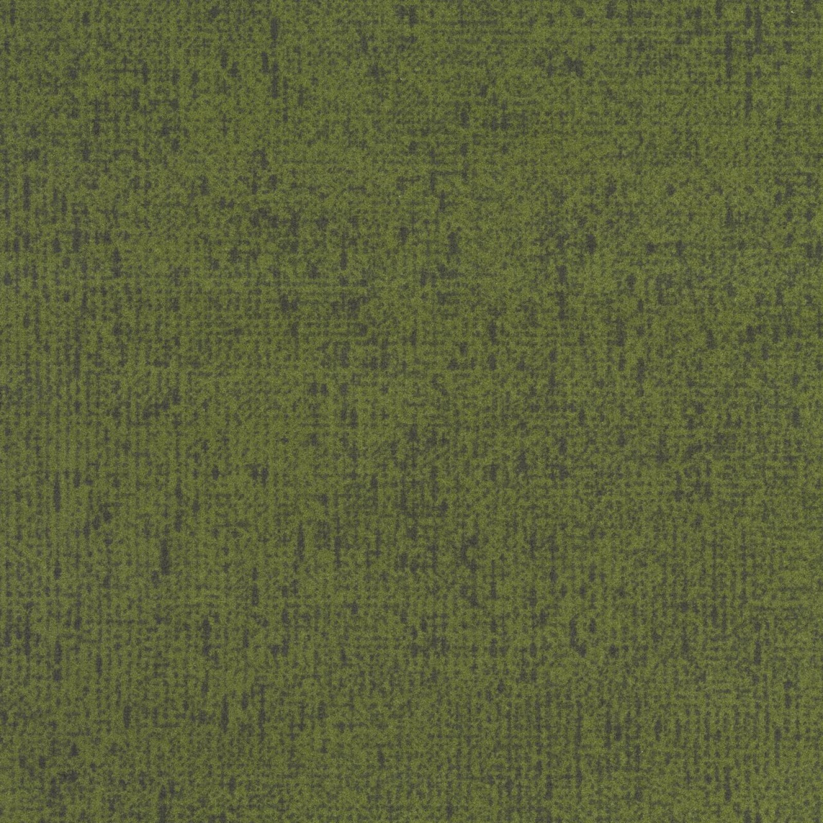 Vzor - t303087 moss