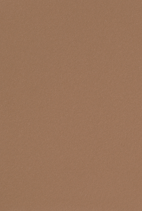 Vzor - 2166 nutmeg spice, kolekce Bulletin Board