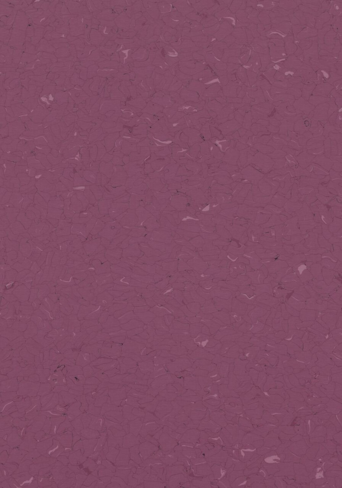 Vzor - 250266 fuji