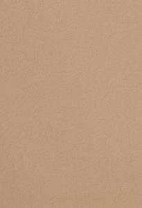 Vzor - 2186 blanched almond, kolekce Bulletin Board