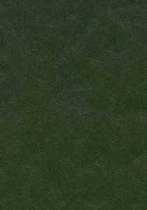 Vzor - 3359 bottle green, kolekce Marmoleum Walton