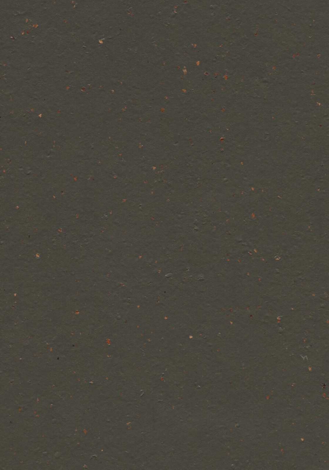 Vzor - 3591 black tea