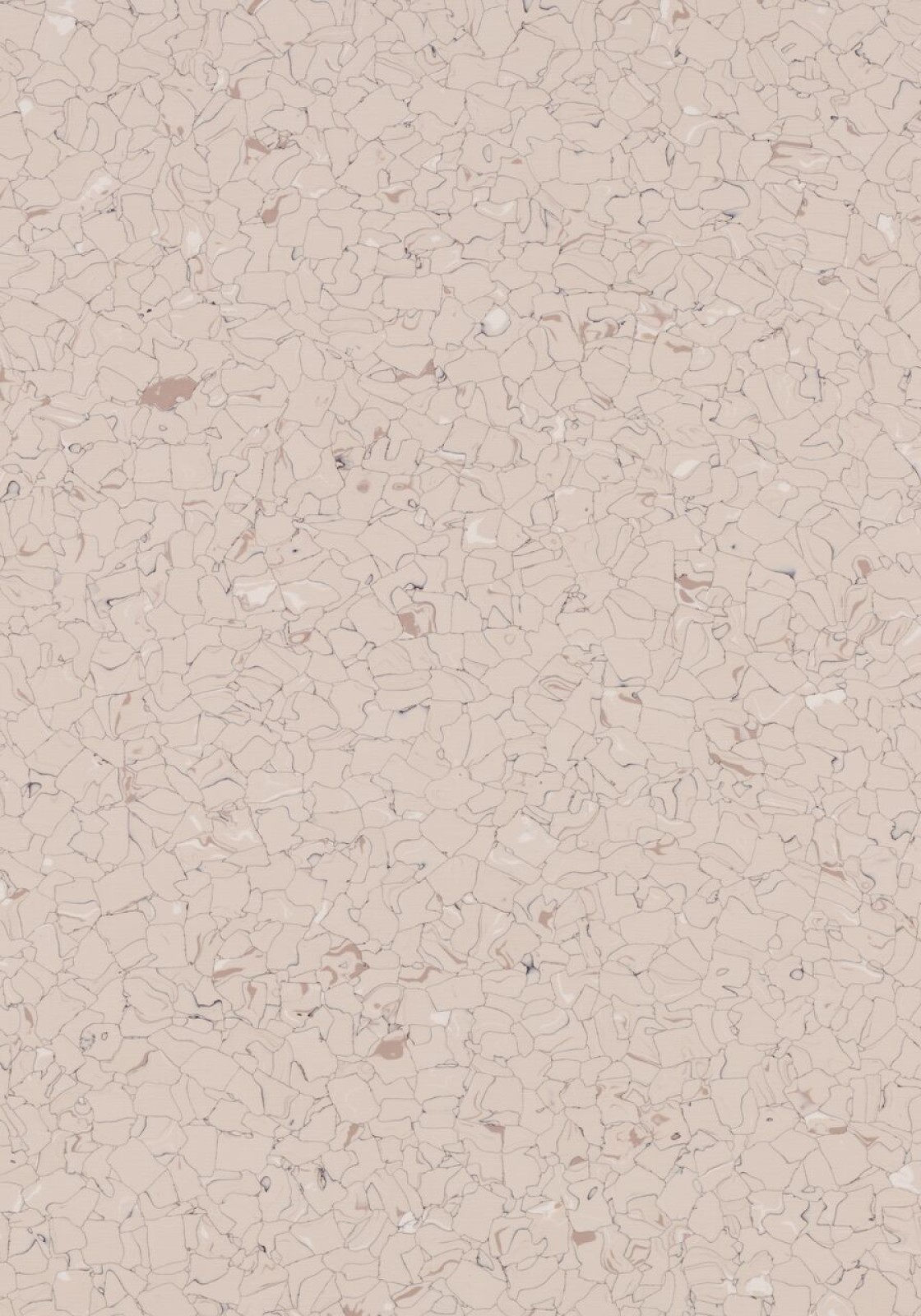 Vzor - 250213 sahara