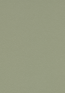 Vzor - 180742 sage, kolekce Safestep Aqua