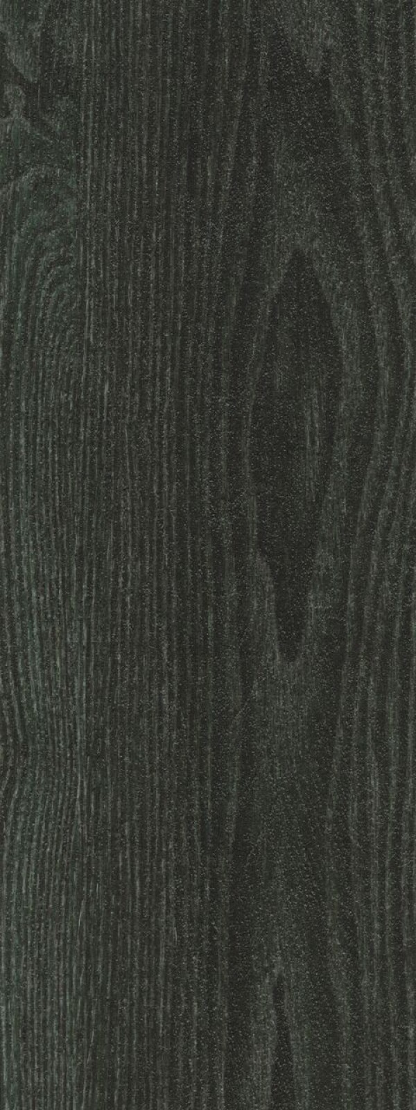 Vzor - 63665DR forest ash (75x15cm)