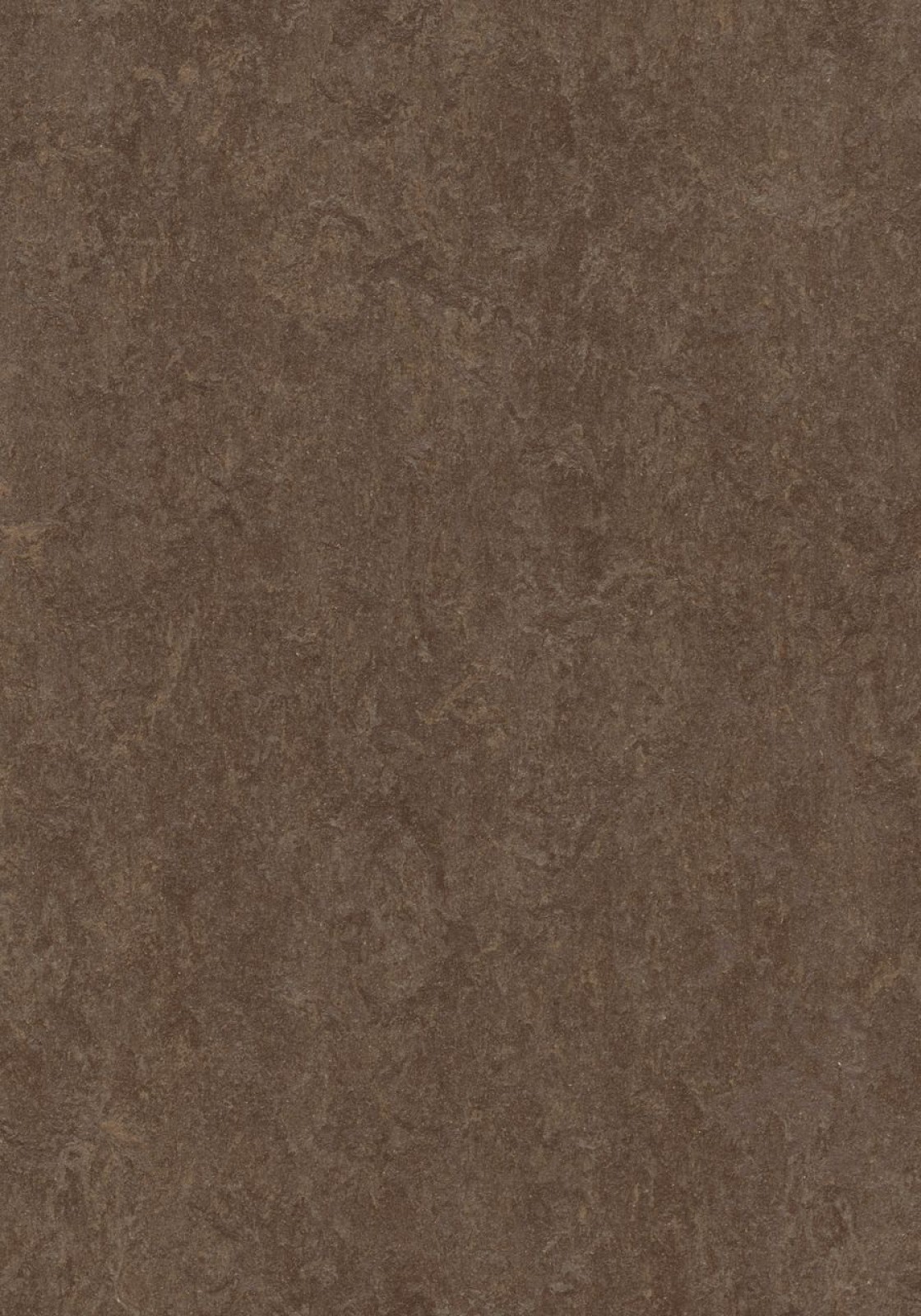 Vzor - 3874 walnut