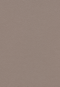 Vzor - 180232 taupe, kolekce Safestep Aqua