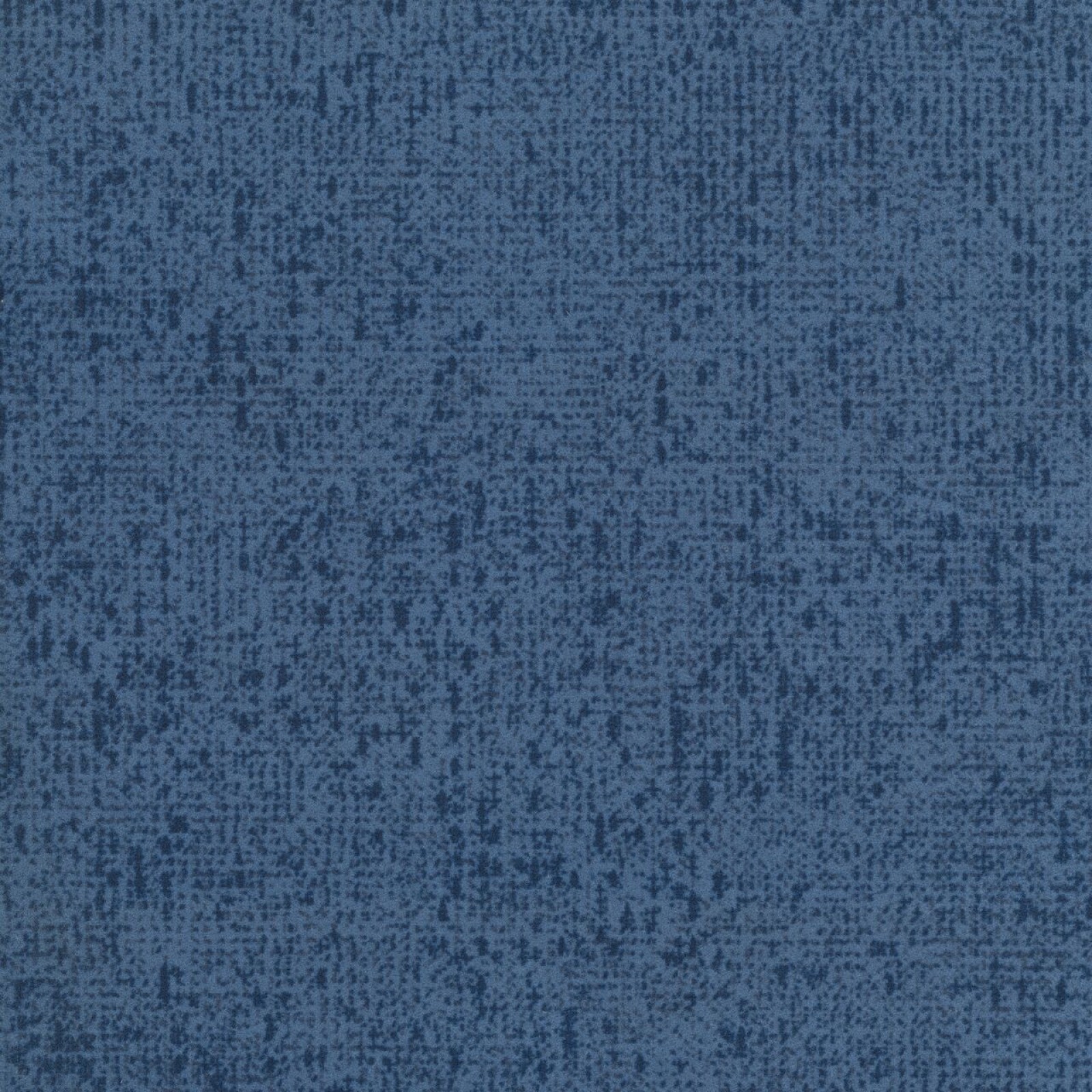Vzor - t303004 cornflower