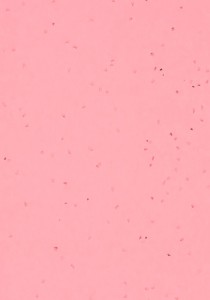 Vzor - 50263 candy, kolekce Sphera Energetic