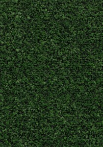 Vzor - 5708 avocado green, kolekce Coral Brush