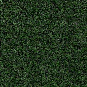 Vzor - 5708 avocado green, kolekce Coral Brush