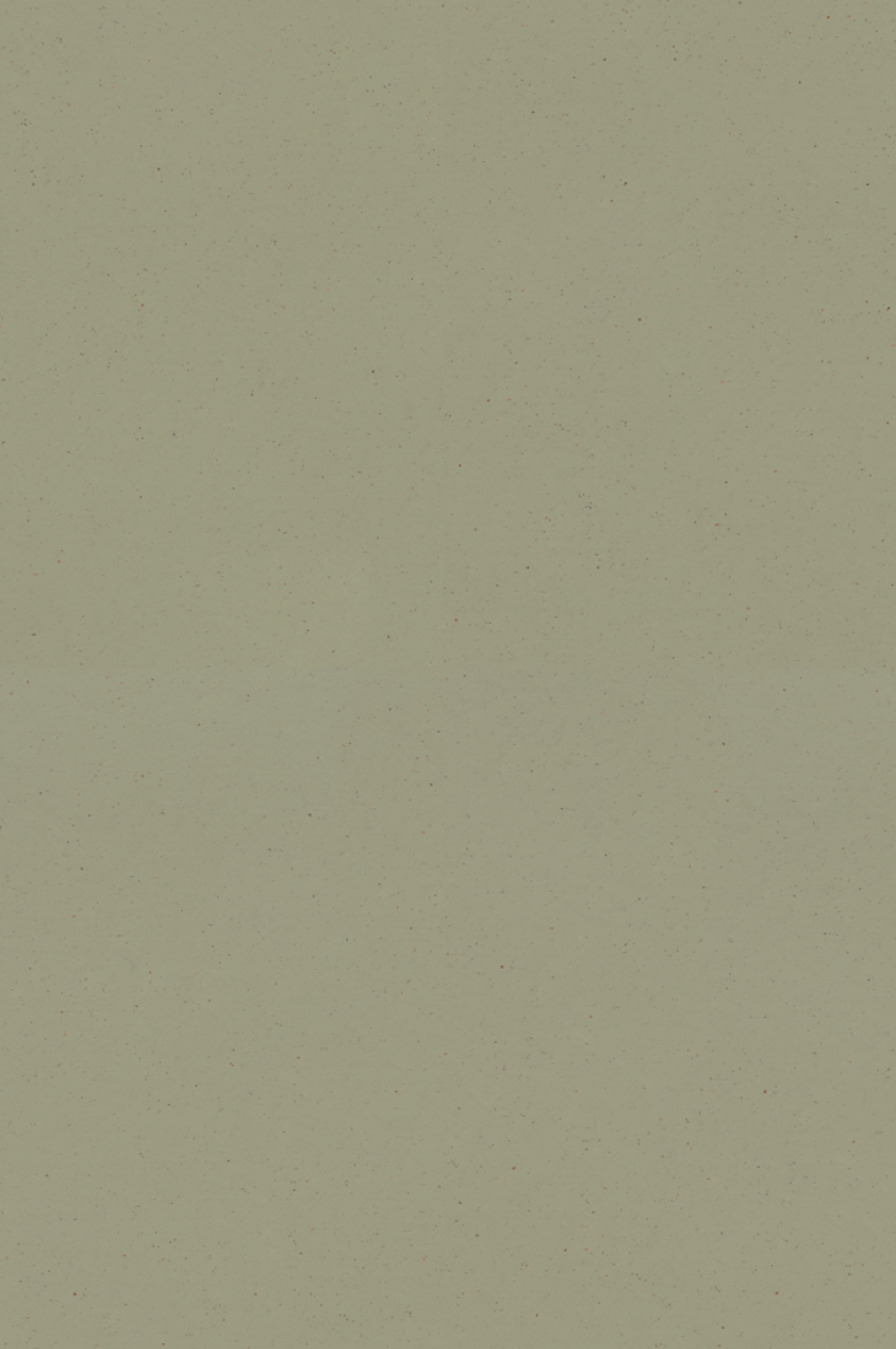 Vzor - 359335 matcha