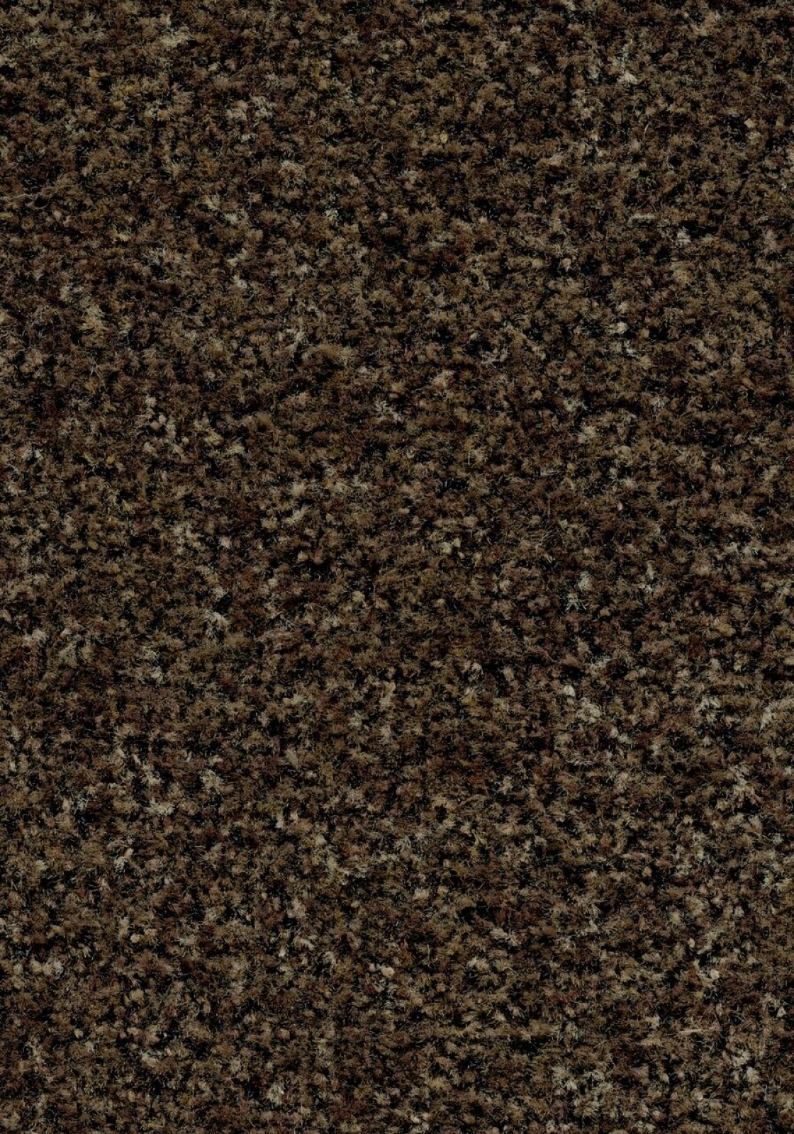 Vzor - t5774 biscotti brown