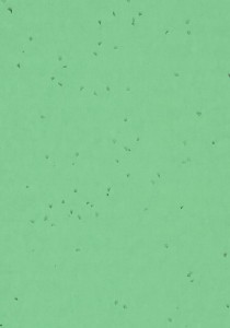 Vzor - 50259 mantis, kolekce Sphera Energetic